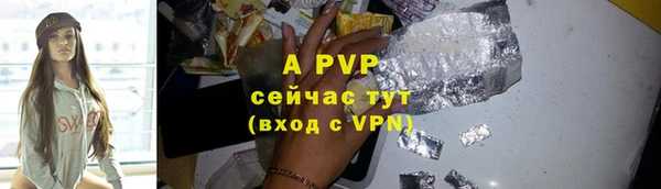 PSILOCYBIN Богородицк