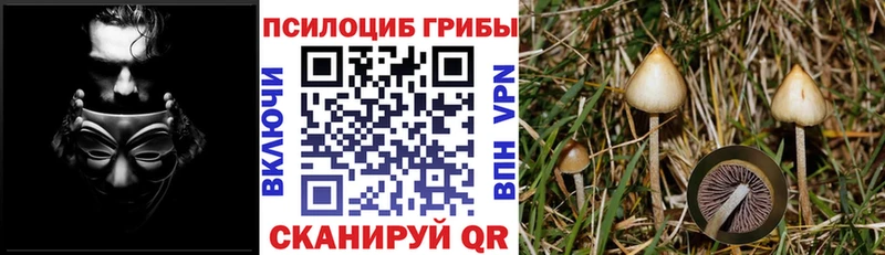 Галлюциногенные грибы GOLDEN TEACHER  где продают   Петров Вал 